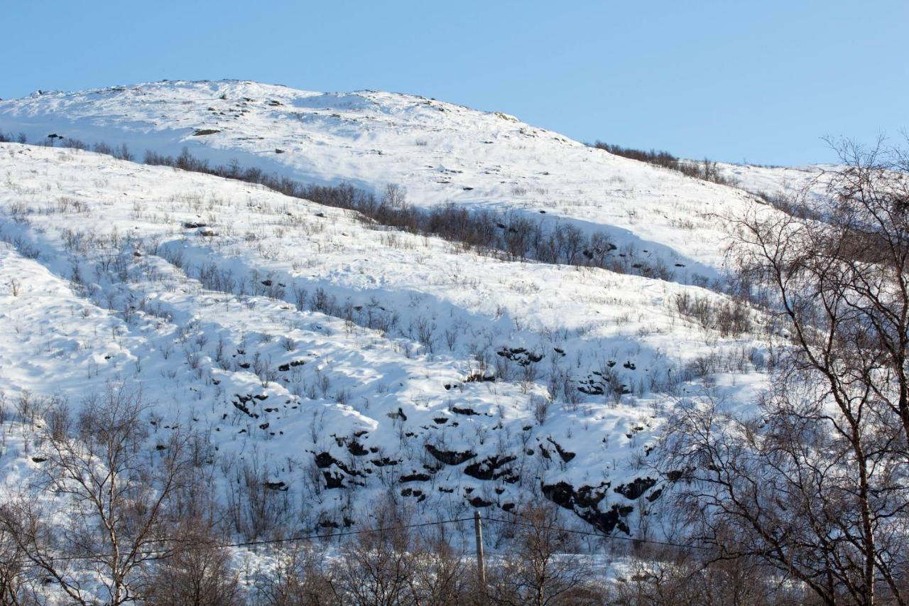 Villa Kinos Utsjoki Dış mekan fotoğraf